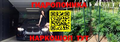 Альфа ПВП Кунгур