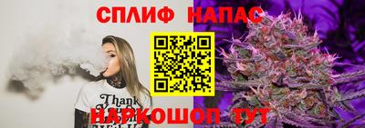 Альфа ПВП Кунгур